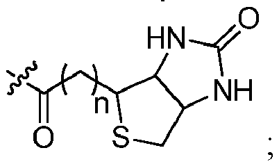 Figure imgb0010