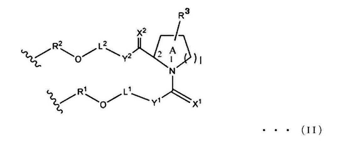 Figure JPOXMLDOC01-appb-C000024