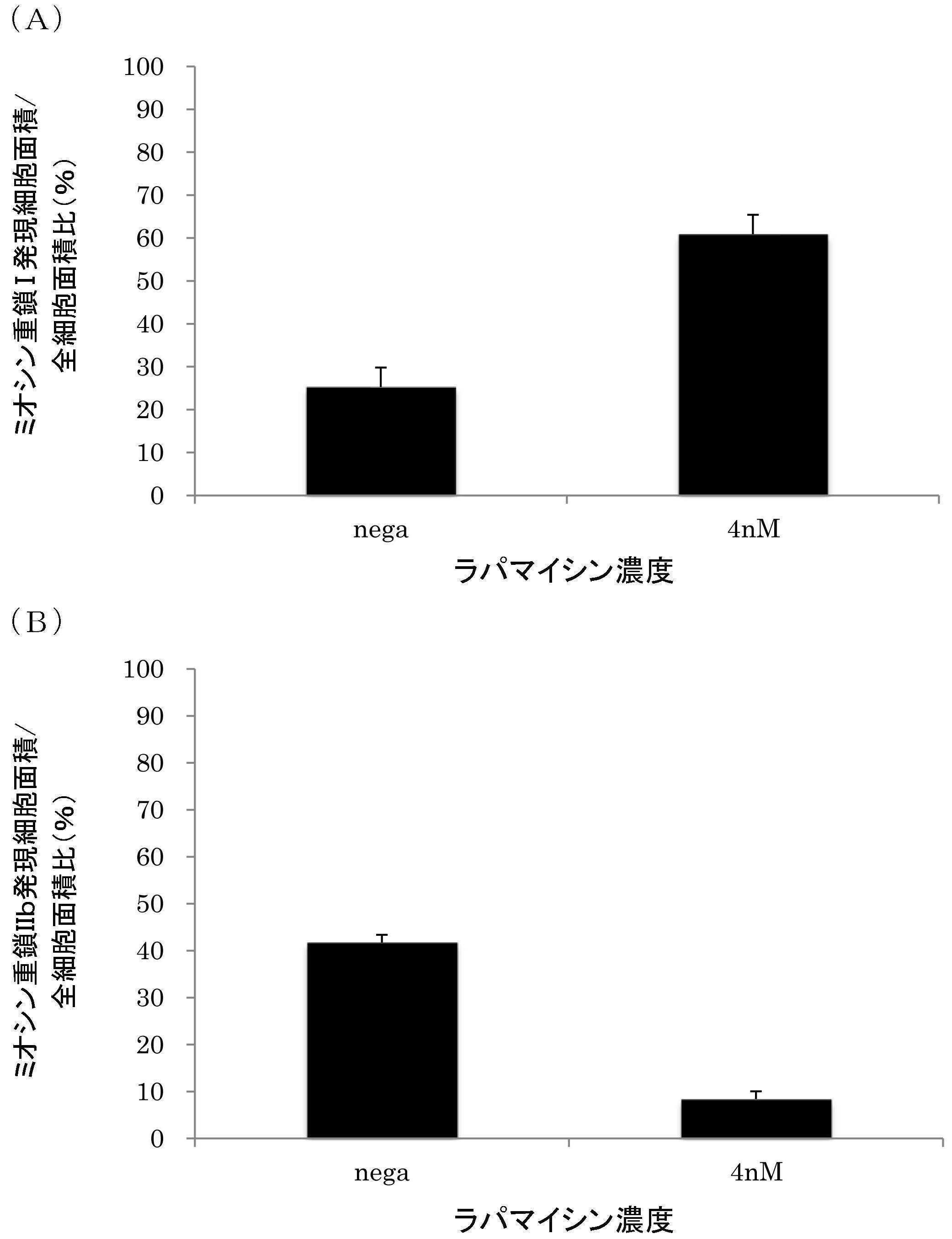 Wo2015060430a1 筋幹細胞又は筋芽細胞 及びそれを用いた代謝変換に関与する物質のスクリーニング方法 並びにスクリーニング方法によって得られた物質を含む医薬組成物 Google Patents