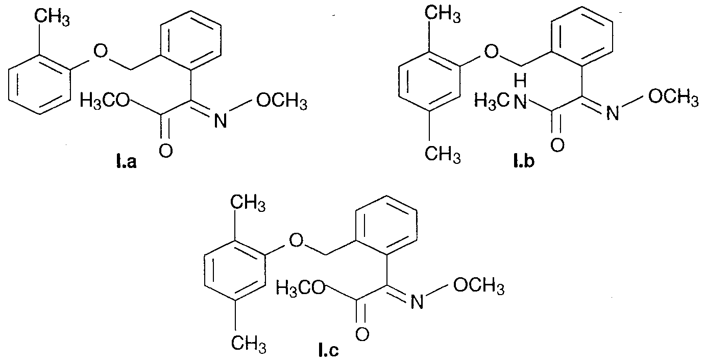 Figure imgf000011_0001