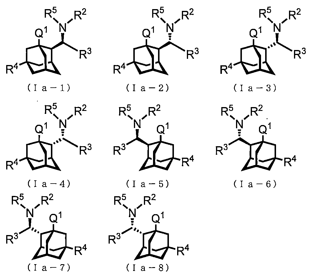 Figure JPOXMLDOC01-appb-C000013