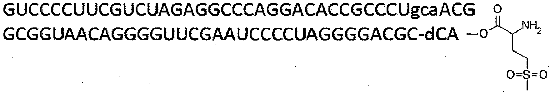 Figure imgb1388
