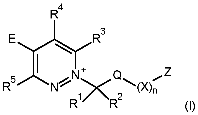 Figure imgf000069_0001