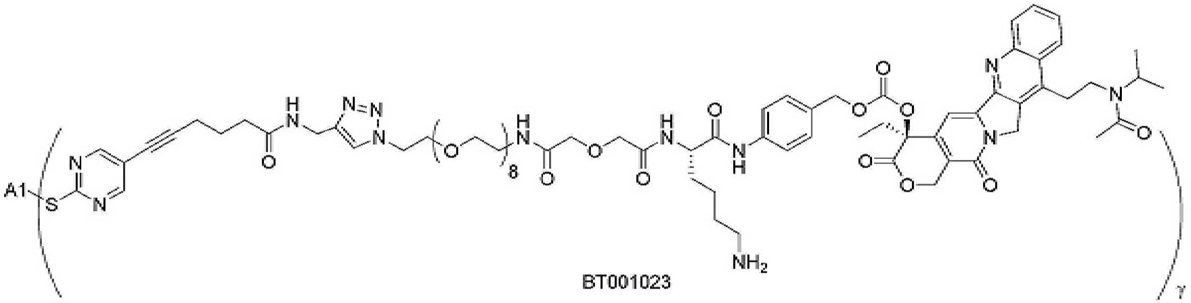 Figure pct00489