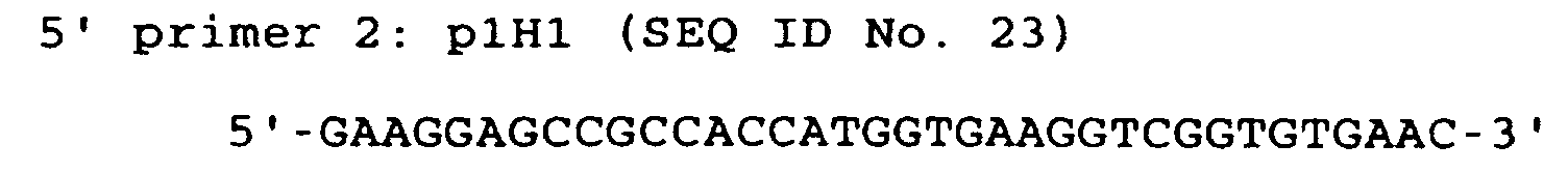 Figure 00200009