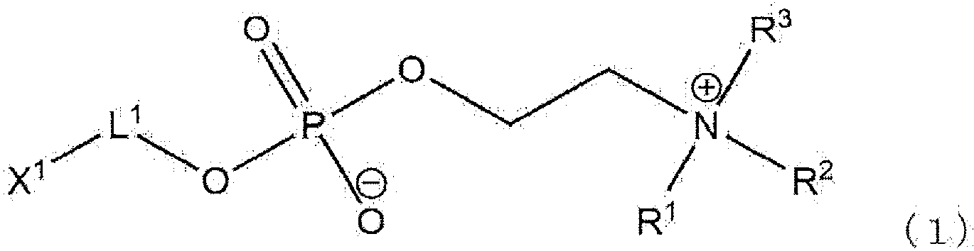 Figure imgb0010