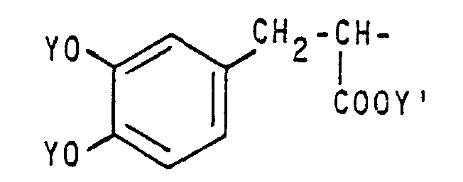 Figure imgb0033