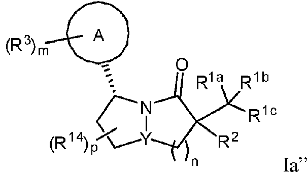 Figure imgf000014_0002