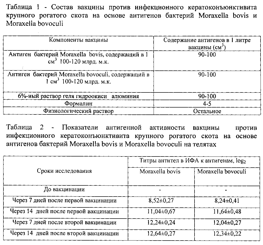 RU2589819C1 - ВАКЦИНА ПРОТИВ ИНФЕКЦИОННОГО КЕРАТОКОНЪЮНКТИВИТА.