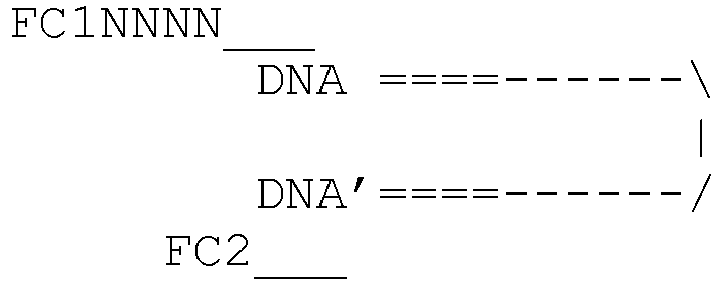 Figure imgb0023