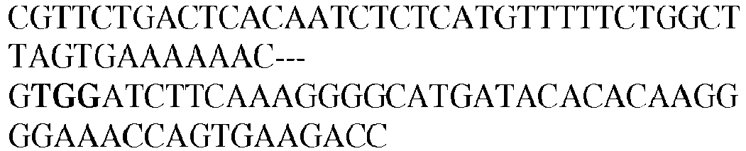 Figure imgb0082