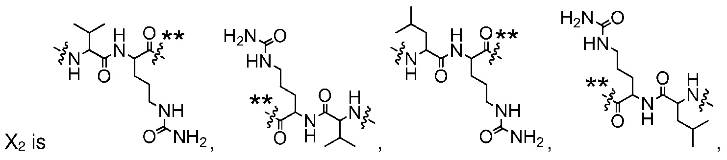 Figure imgf000006_0003