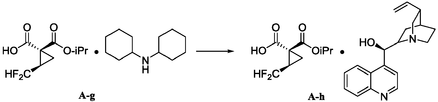 Figure imgb0171