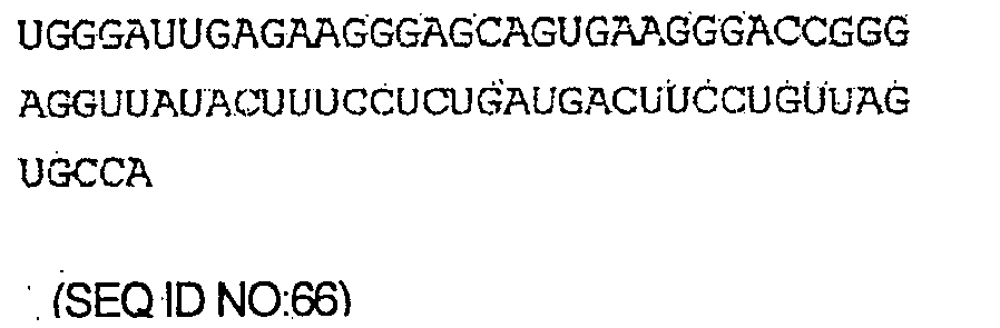 Figure imgb0081