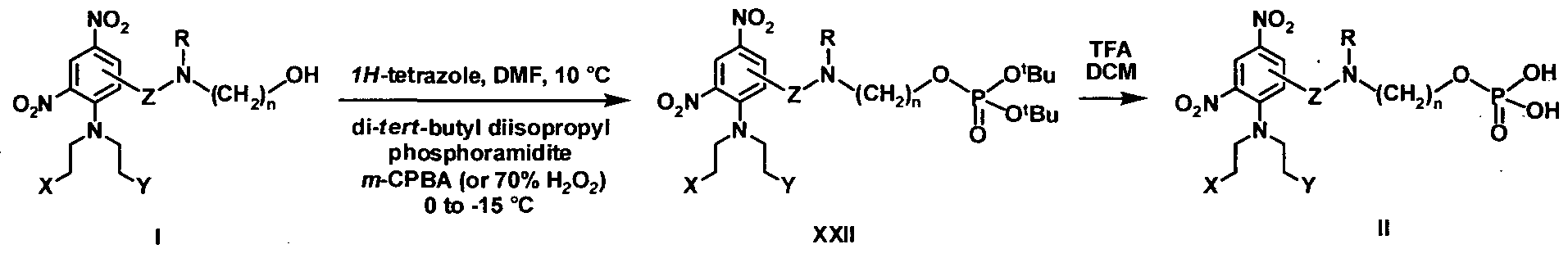 Figure imgf000056_0001