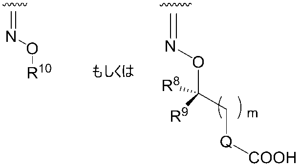 Figure JPOXMLDOC01-appb-C000046