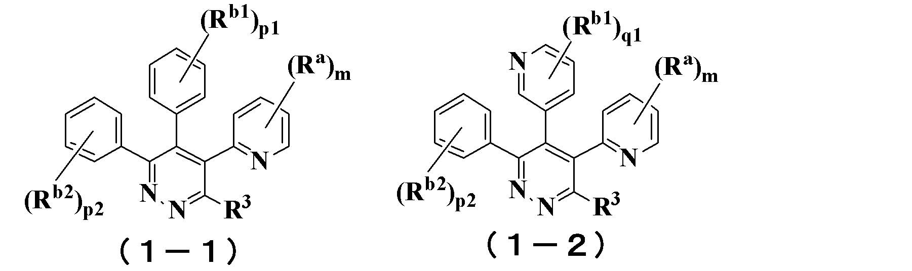 Figure JPOXMLDOC01-appb-C000010