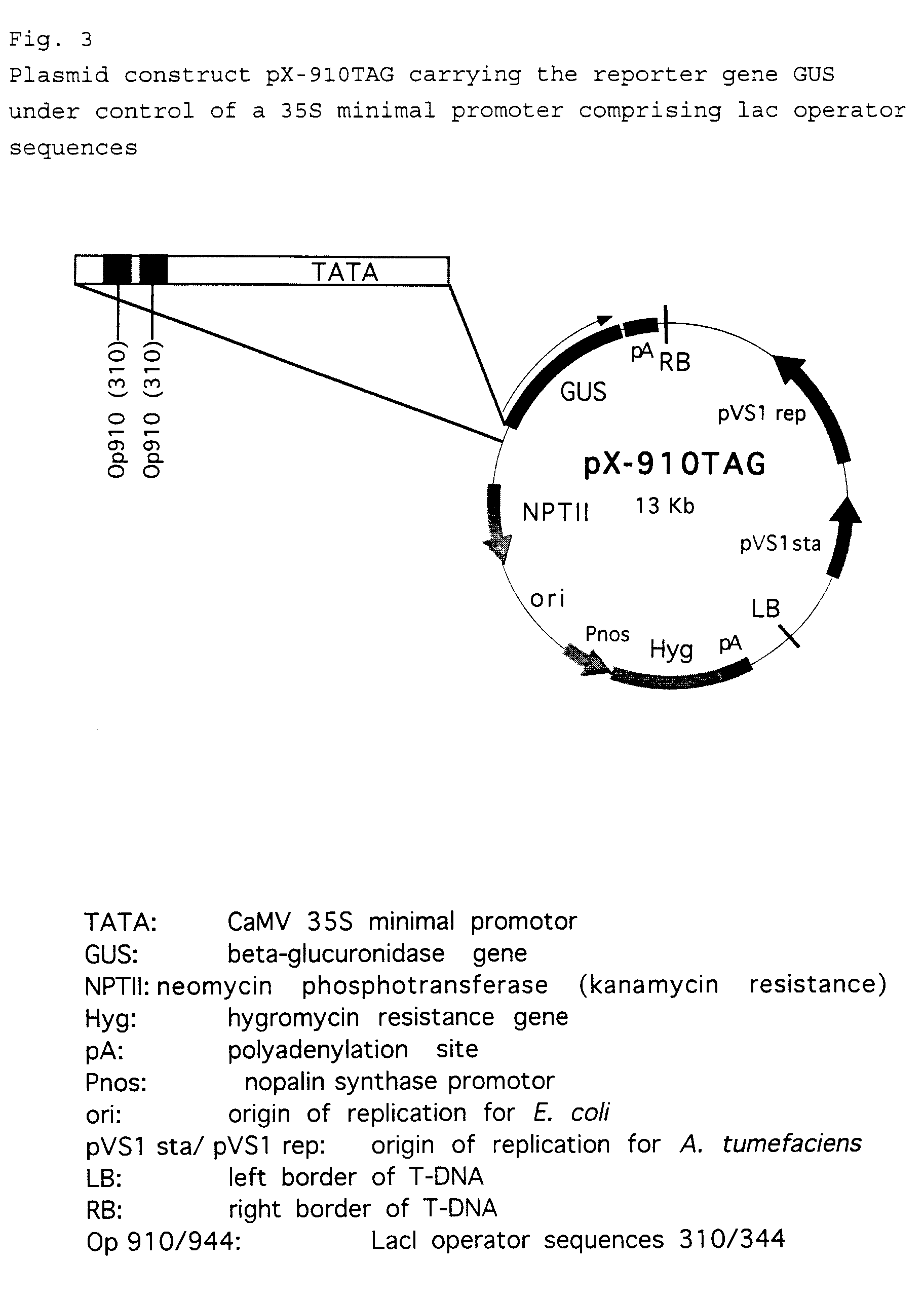 Figure 00260001