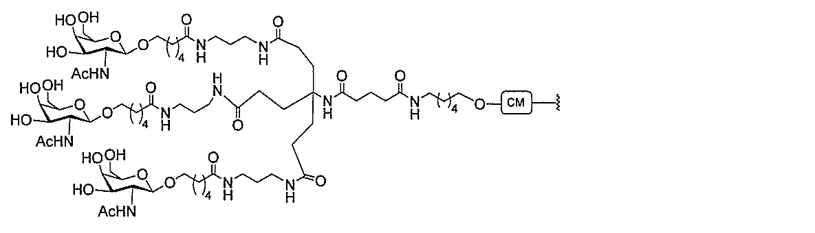 Figure 2022017514000367