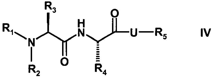 Figure imgb0008