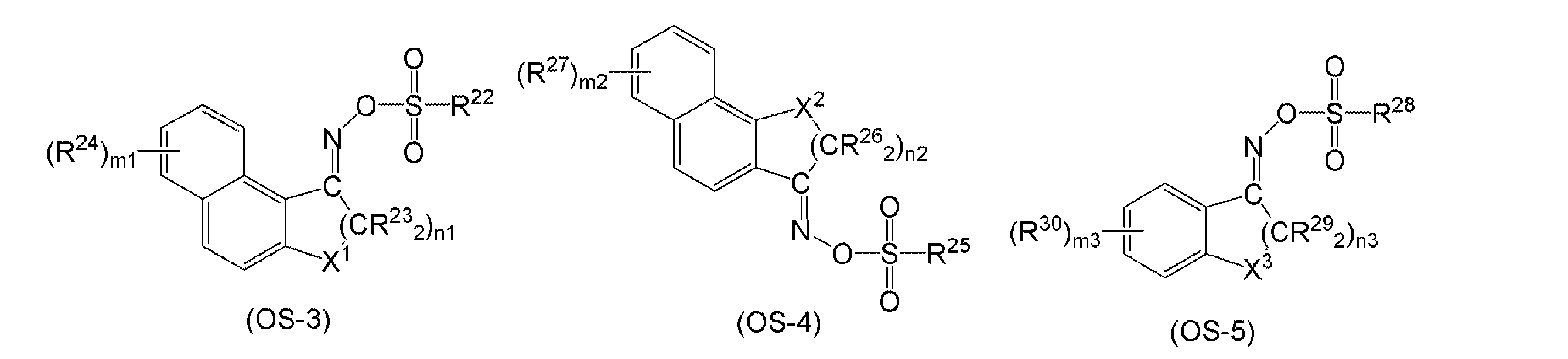 Figure JPOXMLDOC01-appb-C000024