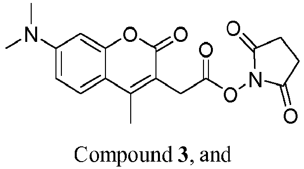 Figure imgb0033