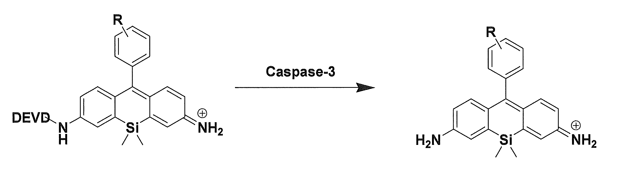 Figure JPOXMLDOC01-appb-C000016