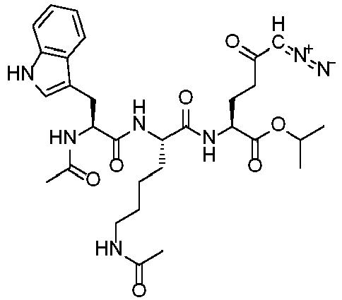 Figure imgb0064
