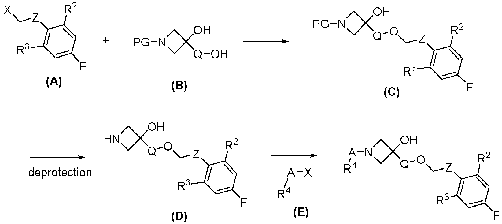 Figure imgb0024