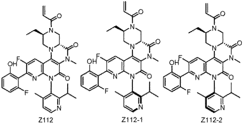 Figure imgb0299