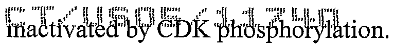 Figure imgf000011_0001