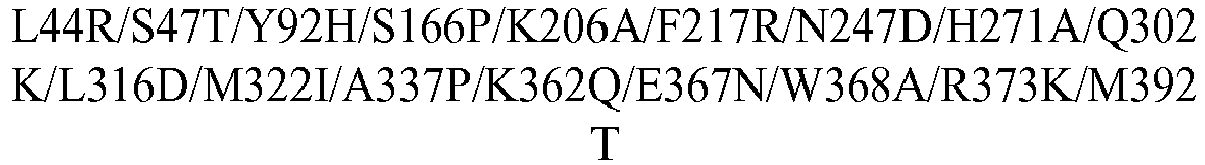 Figure imgb0702
