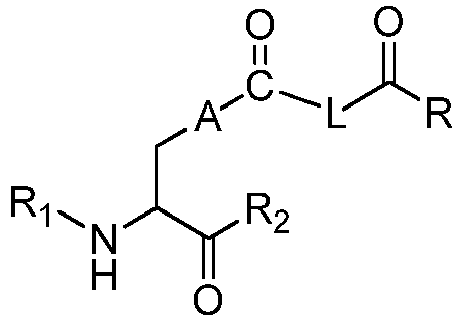 Figure imgb0053