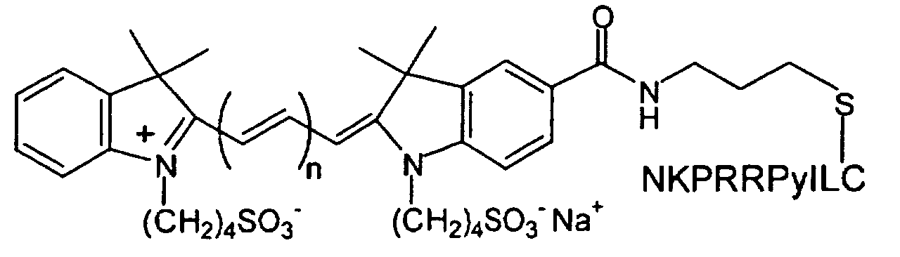 Figure 00310001
