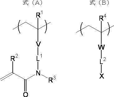 Figure JPOXMLDOC01-appb-C000005