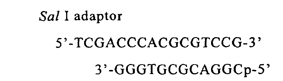 Figure 00340004