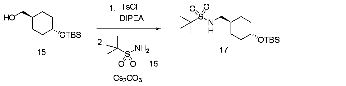 Figure JPOXMLDOC01-appb-C000049