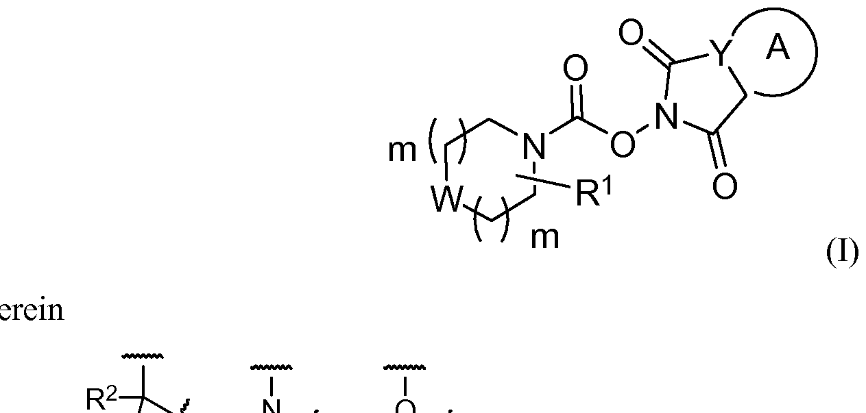 Figure imgf000002_0001