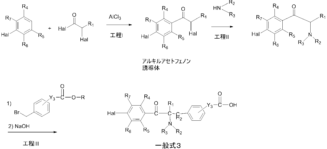 Figure JPOXMLDOC01-appb-C000089