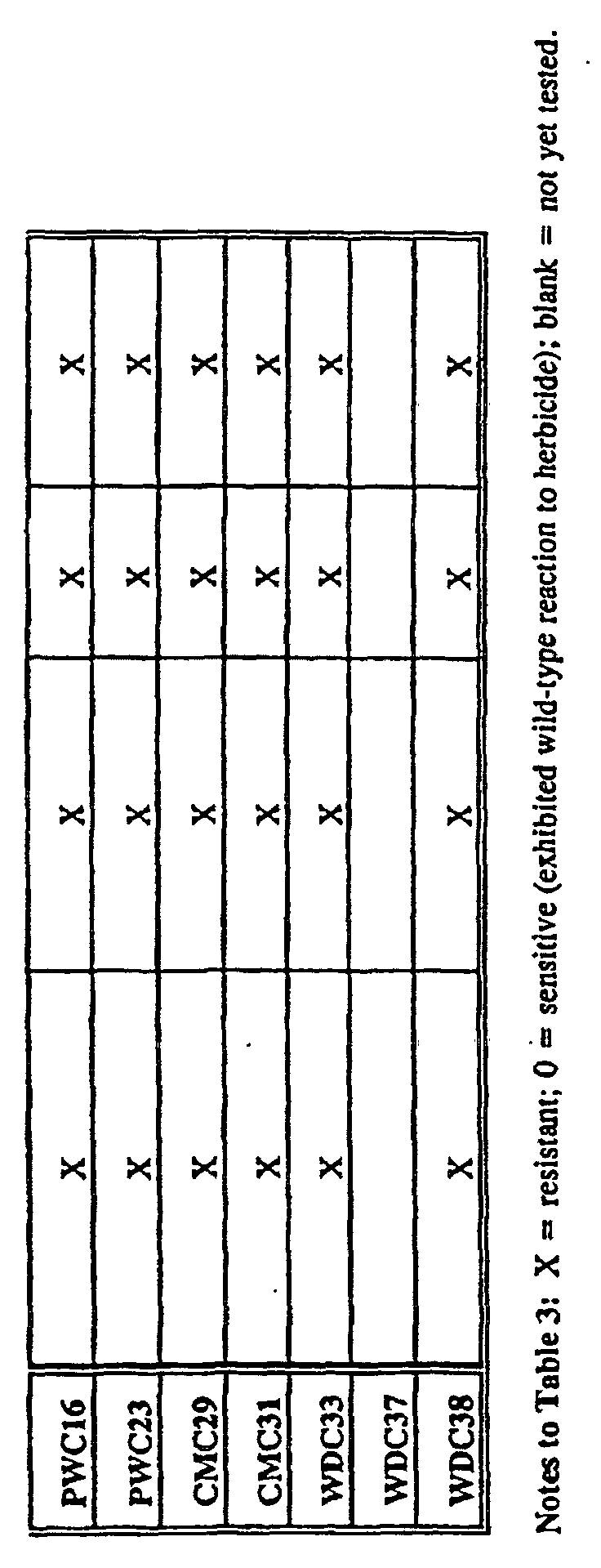 Figure 00220001