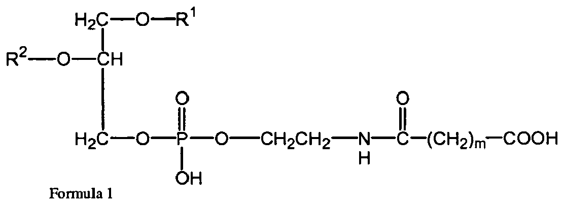 Figure imgb0062