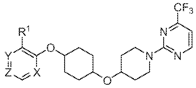 Figure imgf000005_0002