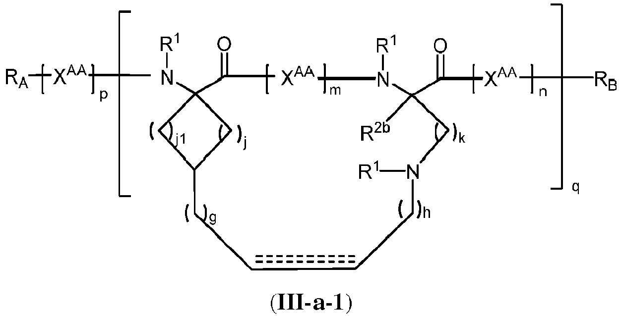 Figure imgb0118