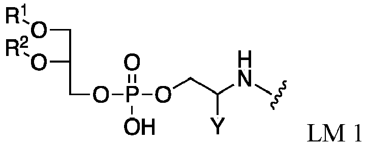 Figure imgb0106
