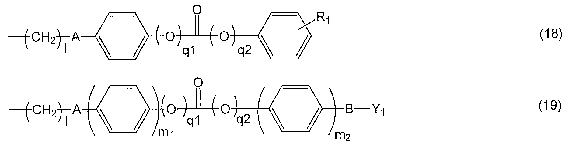 Figure JPOXMLDOC01-appb-C000015