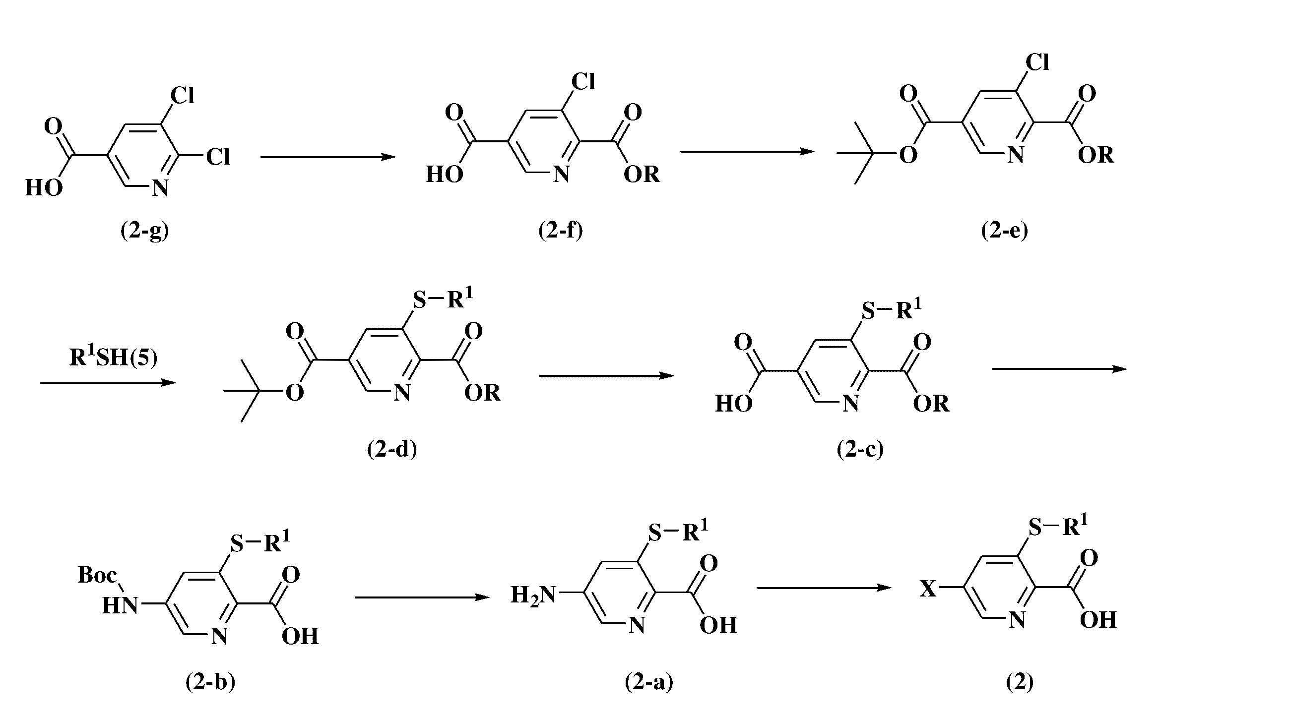 Figure JPOXMLDOC01-appb-C000009
