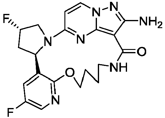 Figure imgb0101