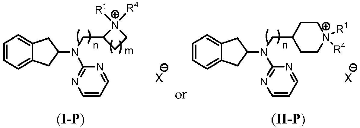 Figure imgb0031