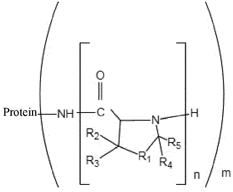 Figure imgb0011
