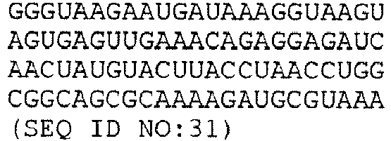 Figure imgb0032